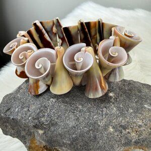 Natural Spiral Shell Bracelet Curly Shell Stretch Organic Beach